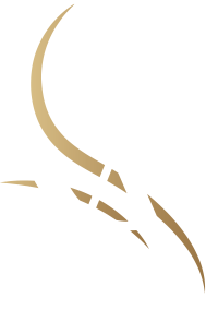 Asset 11